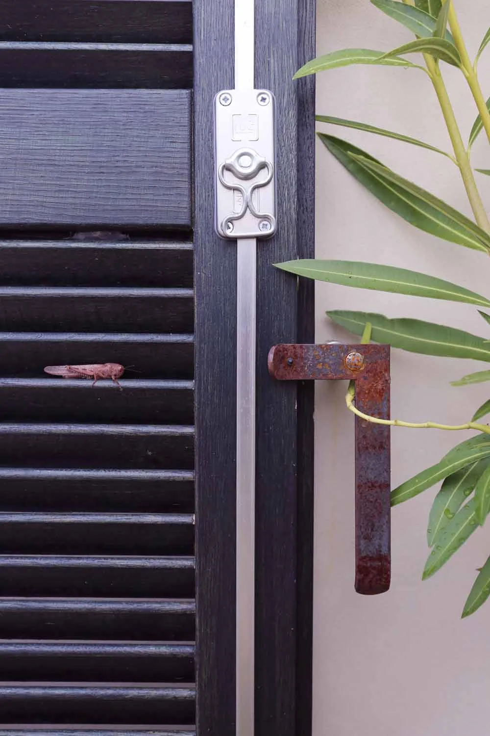 Window frame and terrace column detail