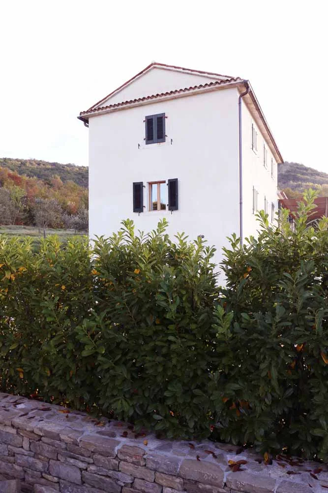 House glimpsed through the garden hedge