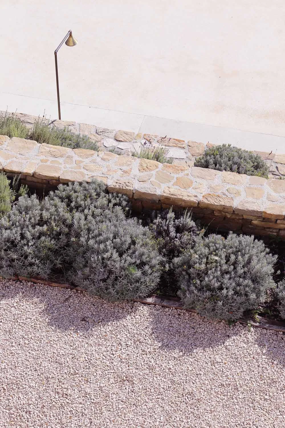 Lavender beds along the stone wall