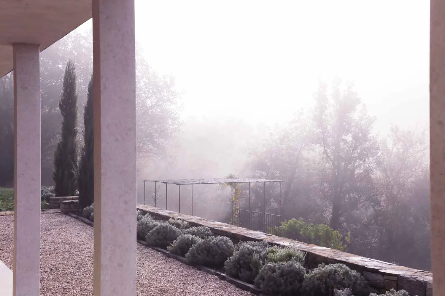 Morning mist rising over the garden