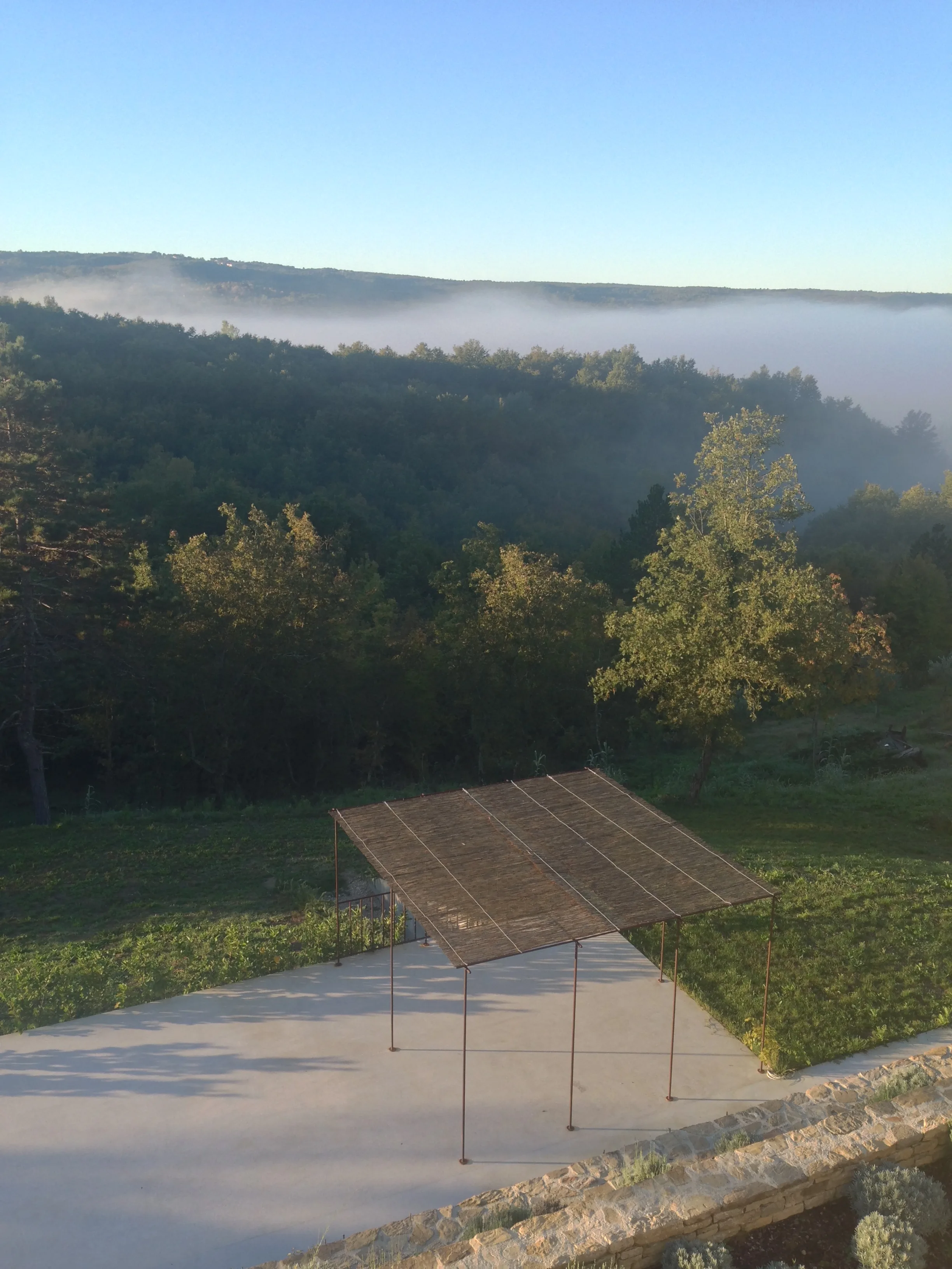 Steel-and-reed pool pergola in morning mist