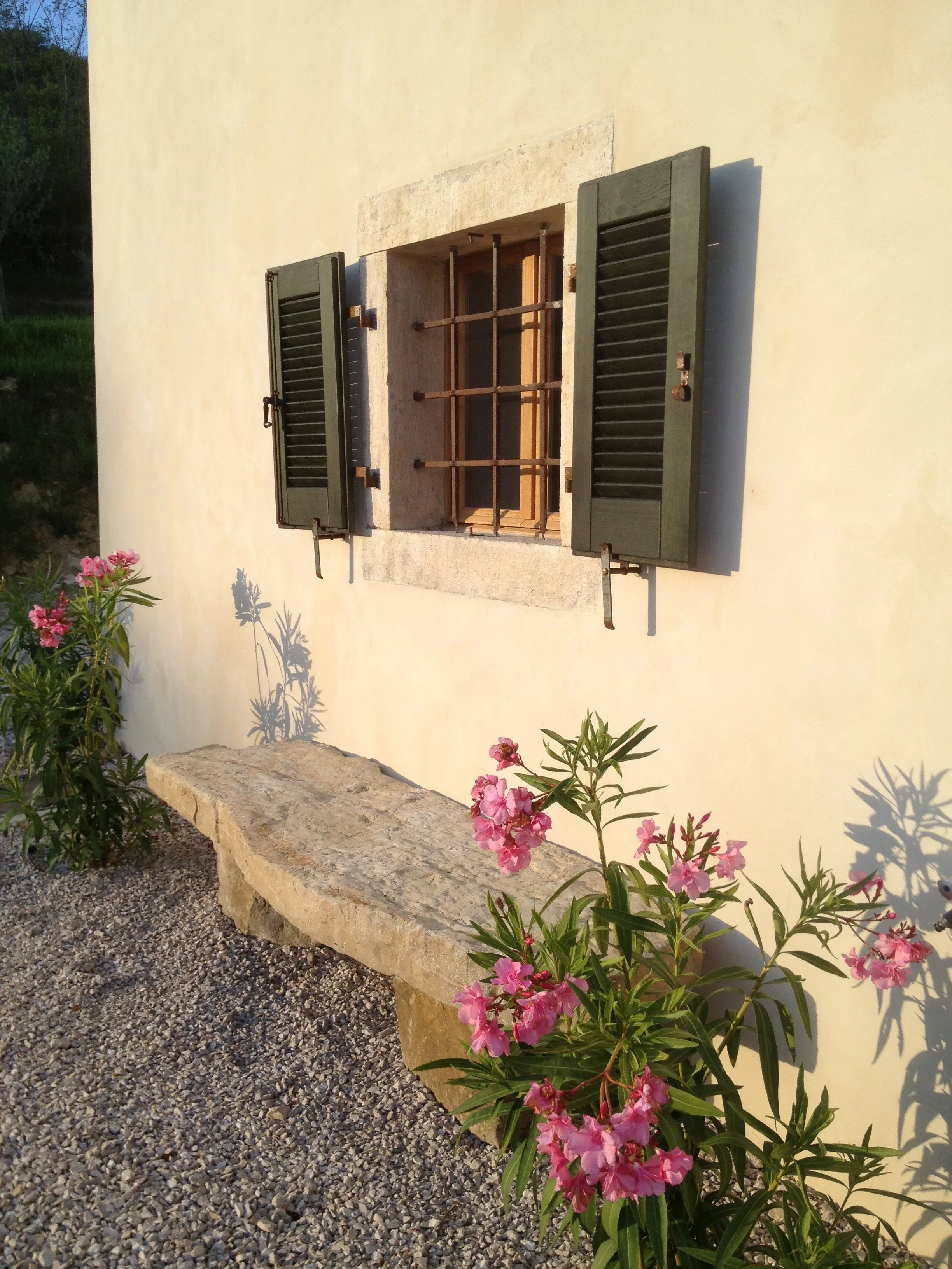 Stone bench with small plant at the side of the house